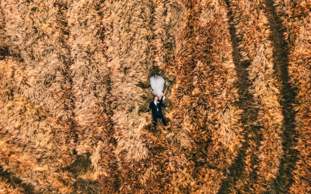 Svatba na Vysočině – Farma Tasov, místo, kde svatby nejsou nuda